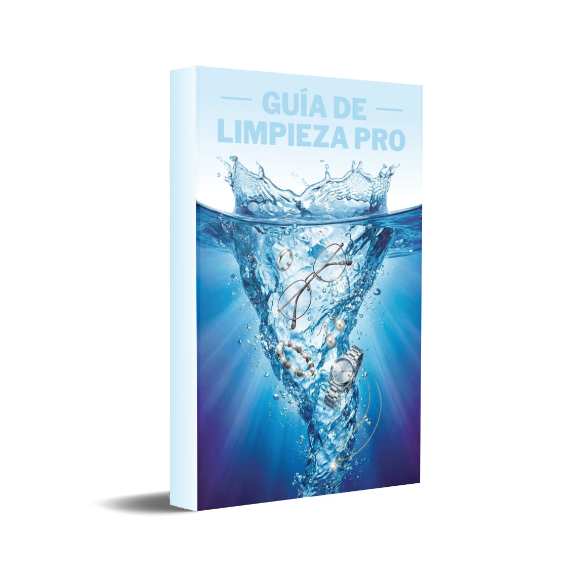 Guía de limpieza pro